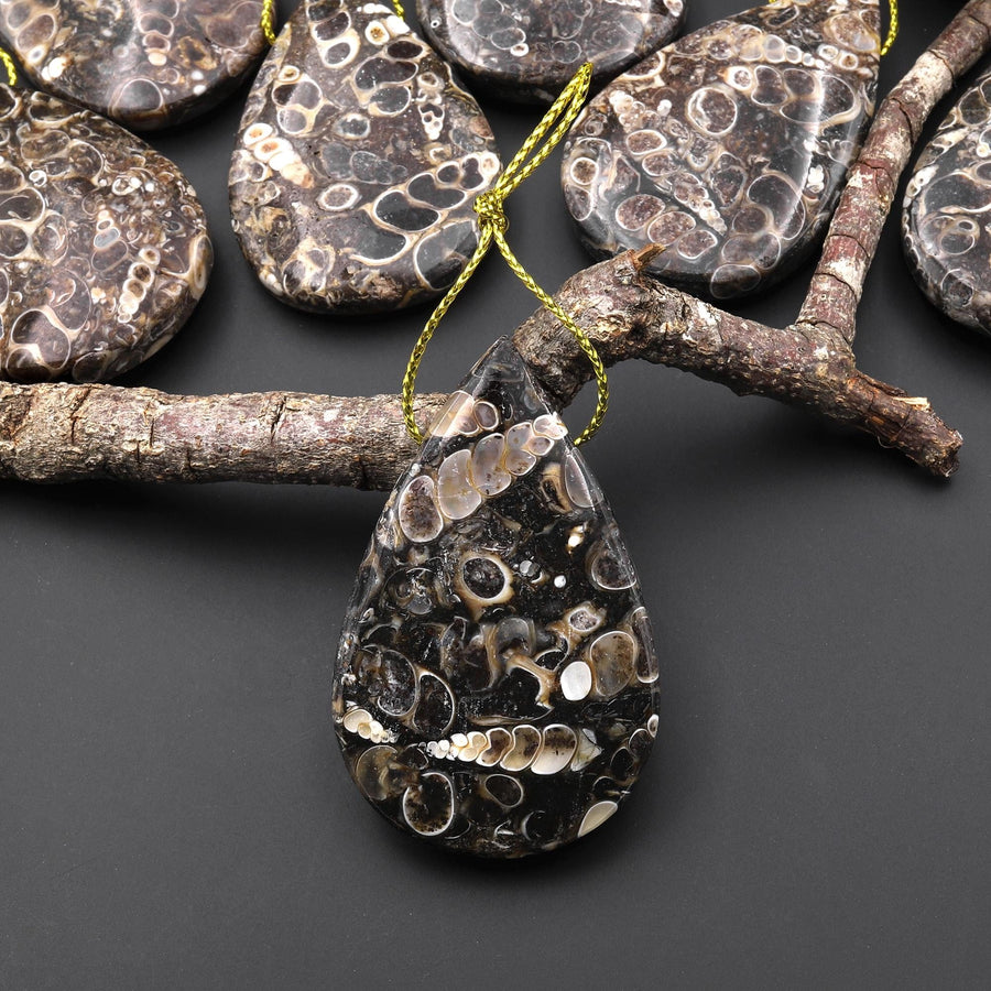 Hand Made Natural Turritella Agate Teardrop Pendant Real Fossil from Wyoming USA