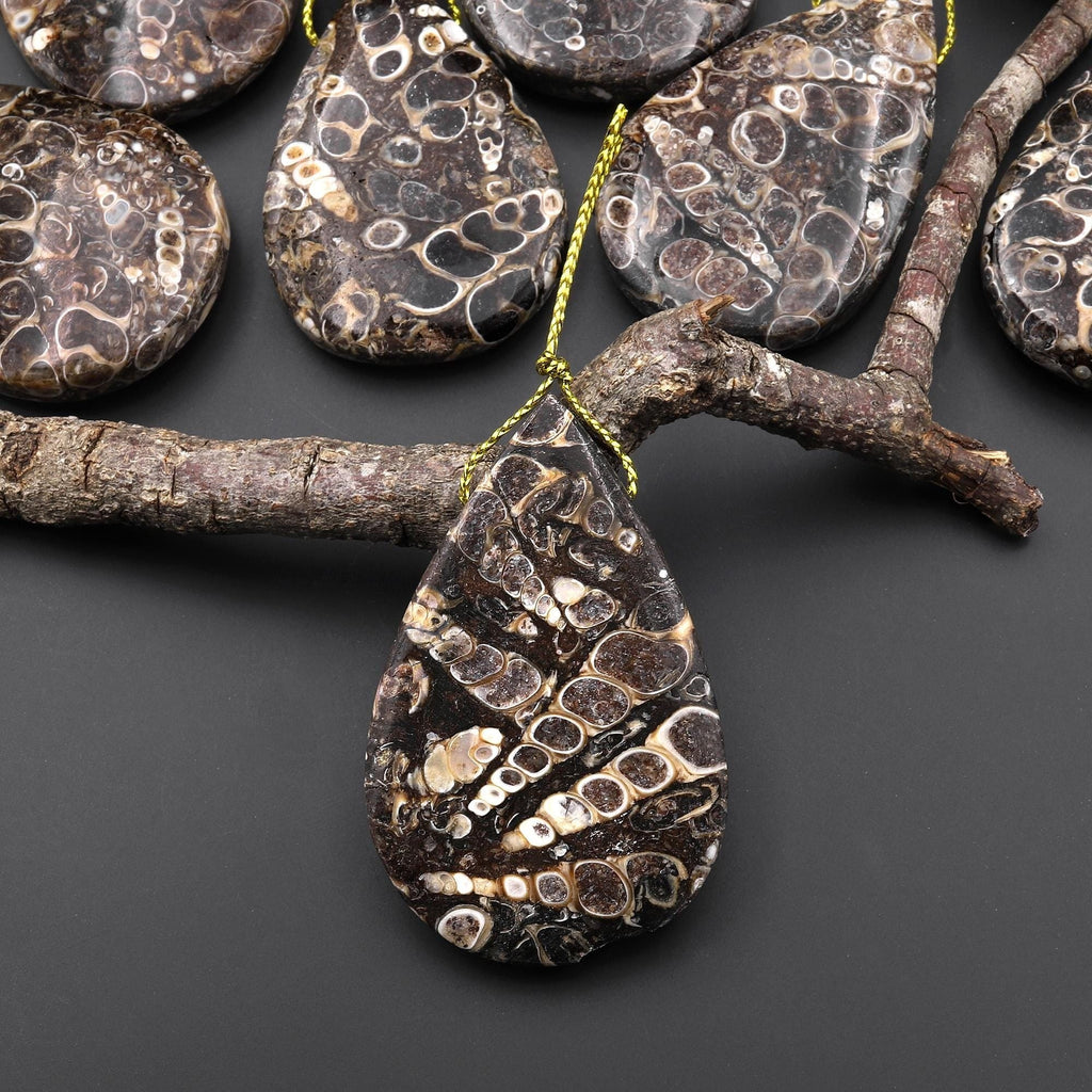 Hand Made Natural Turritella Agate Teardrop Pendant Real Fossil from Wyoming USA