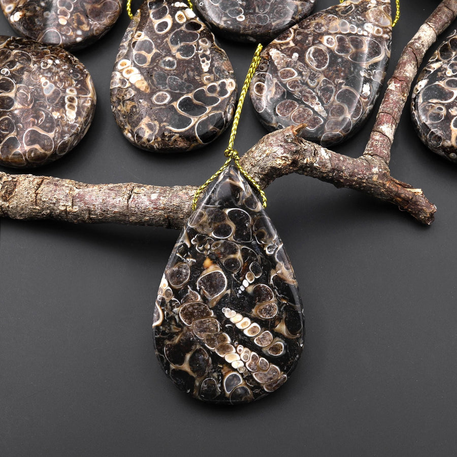 Hand Made Natural Turritella Agate Teardrop Pendant Real Fossil from Wyoming USA A4