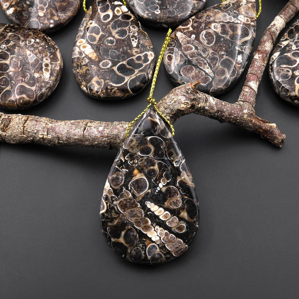 Hand Made Natural Turritella Agate Teardrop Pendant Real Fossil from Wyoming USA A4