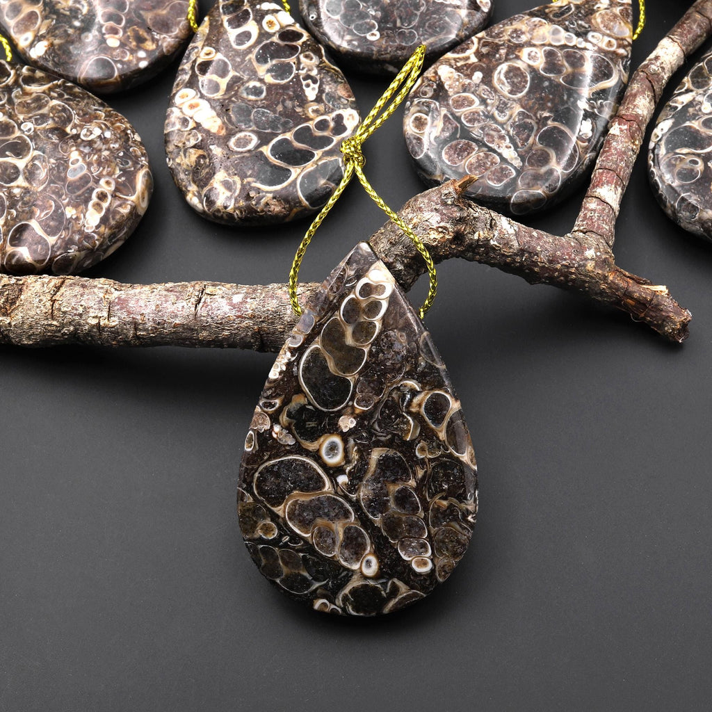 Hand Made Natural Turritella Agate Teardrop Pendant Real Fossil from Wyoming USA A5