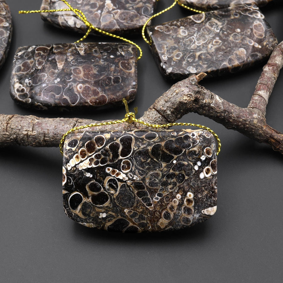 Hand Made Natural Turritella Agate Long Rectangle Saddle Pendant Real Fossil from Wyoming USA