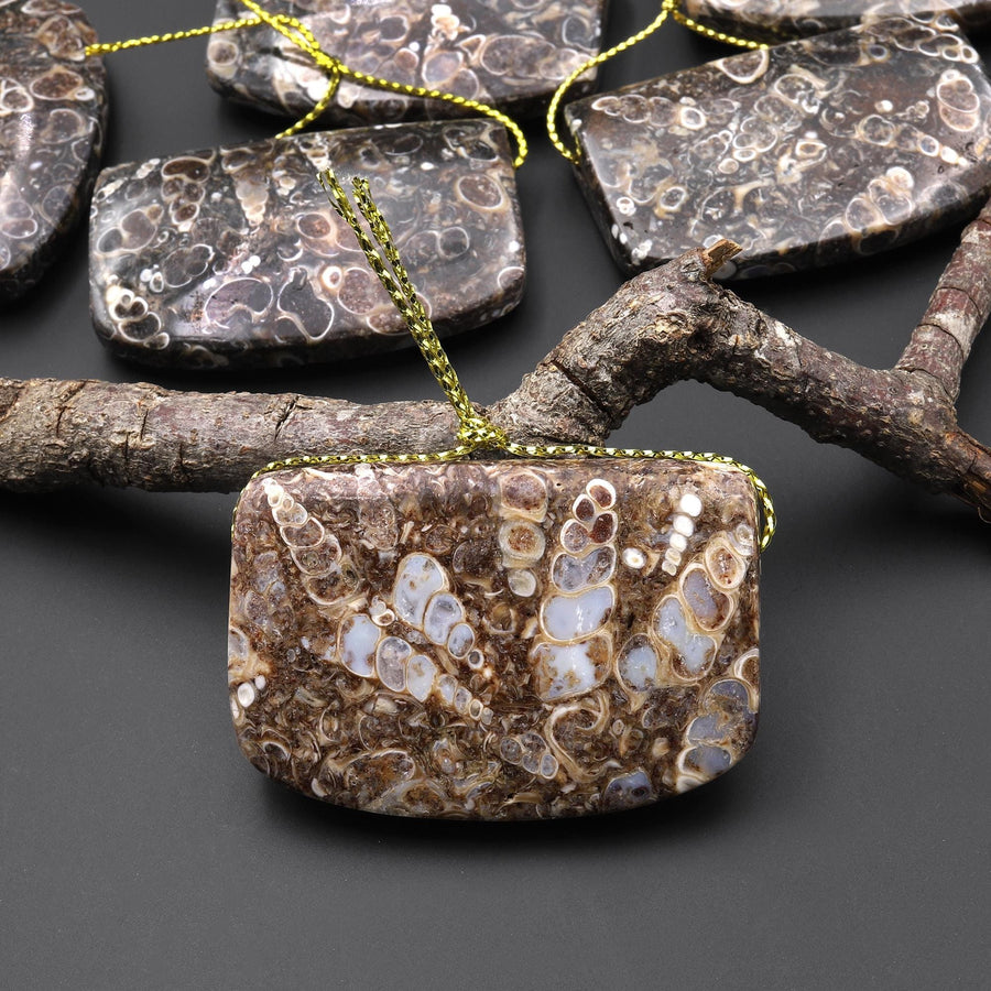 Hand Made Natural Turritella Agate Long Rectangle Saddle Pendant Real Fossil from Wyoming USA