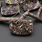 Hand Made Natural Turritella Agate Long Rectangle Saddle Pendant Real Fossil from Wyoming USA