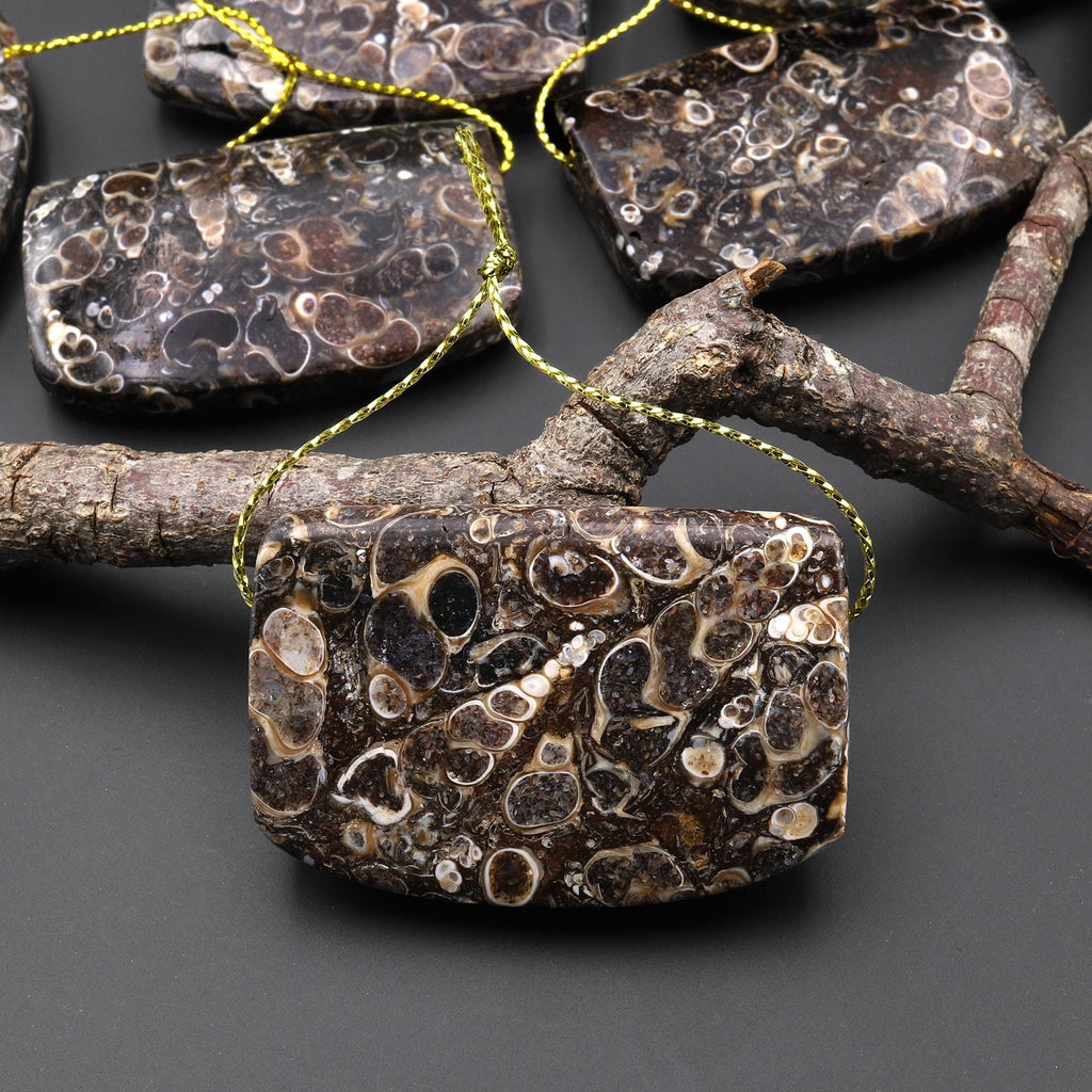 Hand Made Natural Turritella Agate Long Rectangle Saddle Pendant Real Fossil from Wyoming USA A1