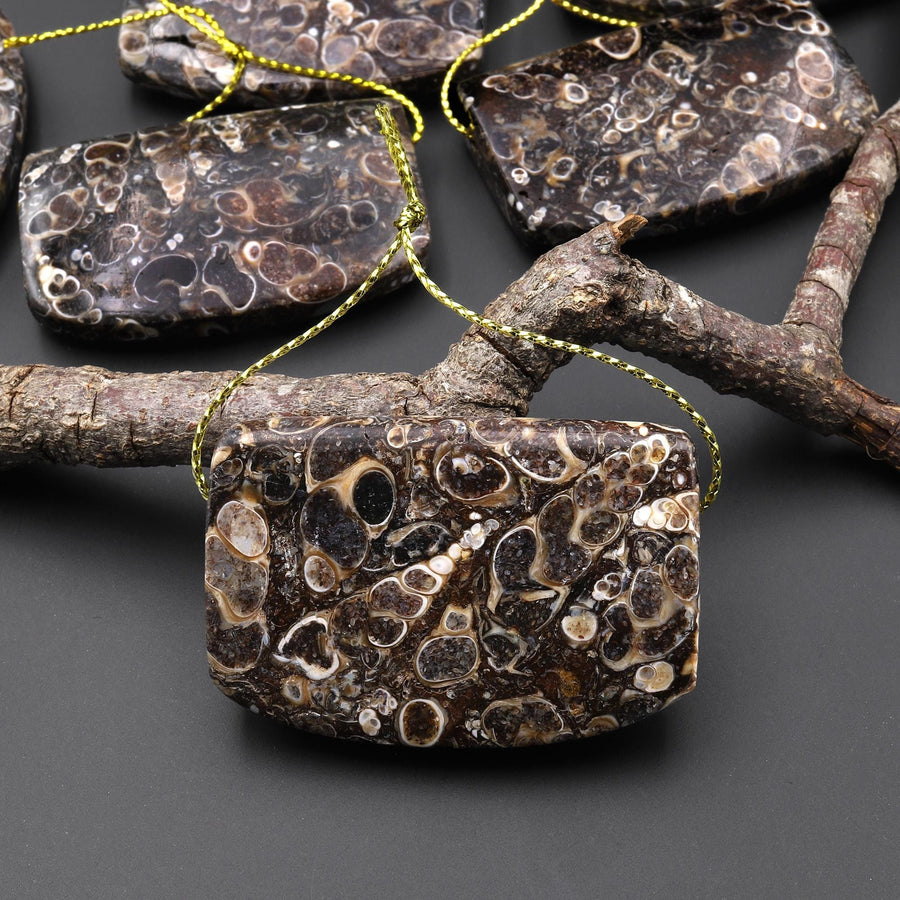 Hand Made Natural Turritella Agate Long Rectangle Saddle Pendant Real Fossil from Wyoming USA A1