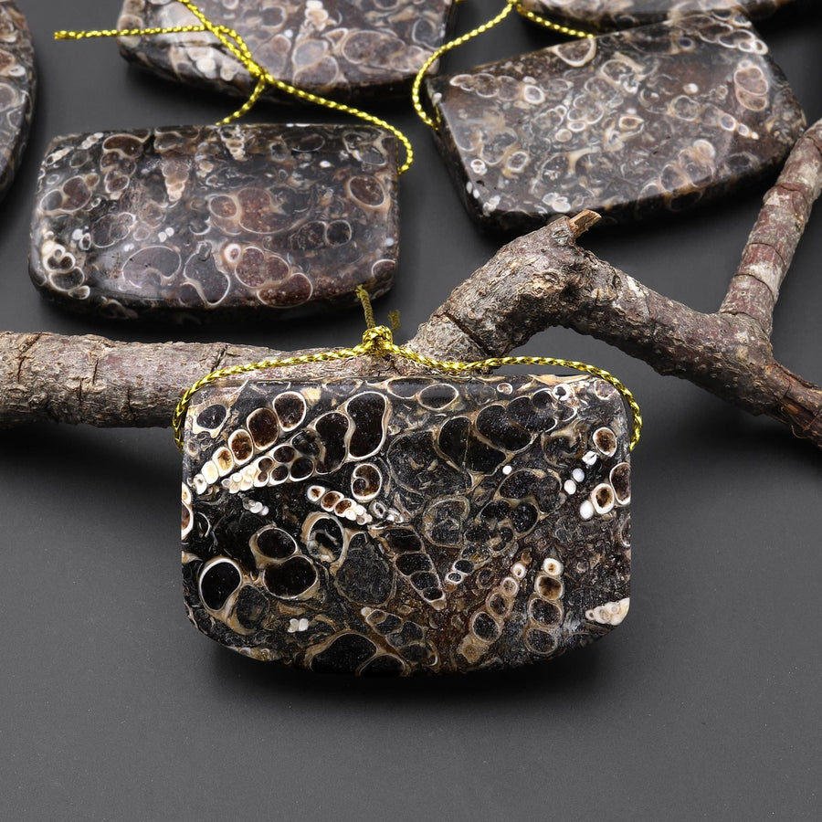 Hand Made Natural Turritella Agate Long Rectangle Saddle Pendant Real Fossil from Wyoming USA A2
