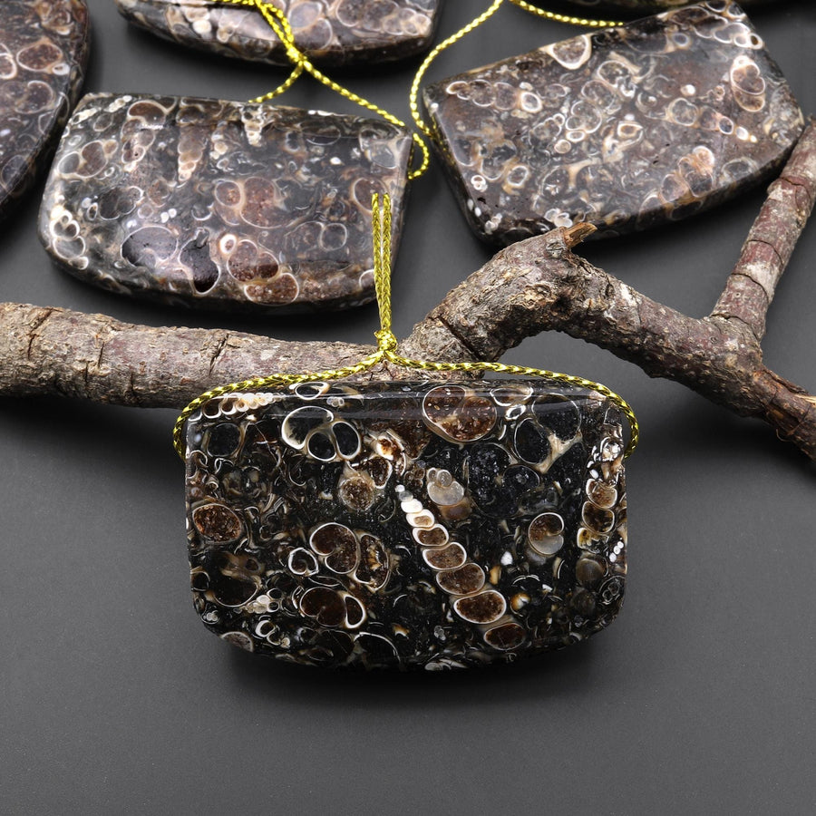 Hand Made Natural Turritella Agate Long Rectangle Saddle Pendant Real Fossil from Wyoming USA A3