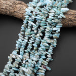 Natural Blue Larimar Freeform Long Chip Nugget Beads Top Side Drilled 15.5" Strand