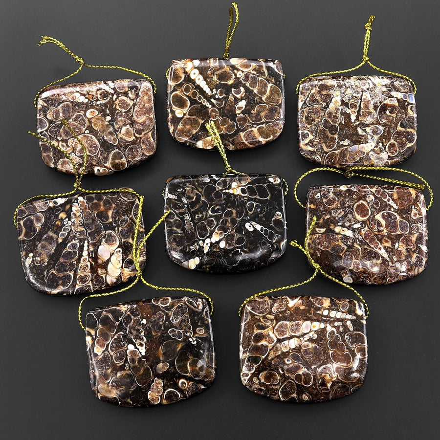 Natural Turritella Agate Rectangle Saddle Locket Shape Pendant Real Fossil from Wyoming USA