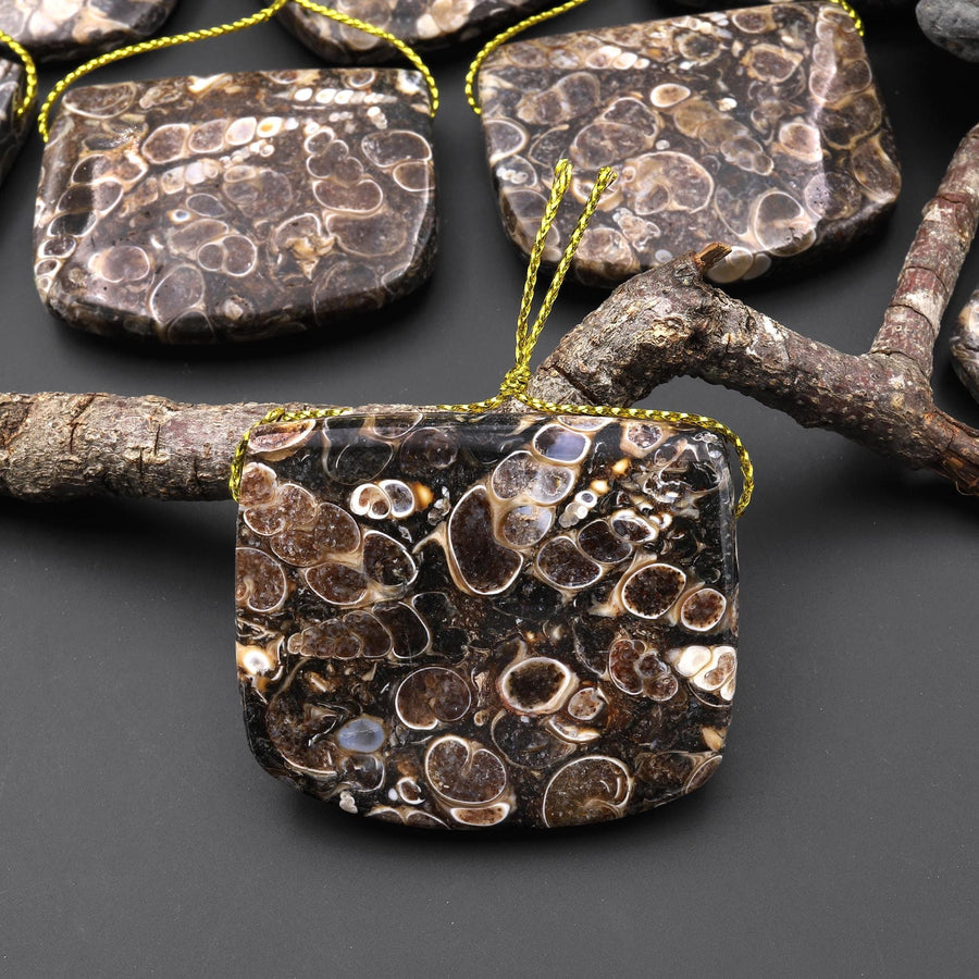 Natural Turritella Agate Rectangle Saddle Locket Shape Pendant Real Fossil from Wyoming USA A5