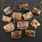 Rare Natural Apatite in Brown Opal Rectangle Saddle Locket Pendant