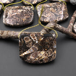 Natural Turritella Agate Rectangle Saddle Locket Shape Pendant Real Fossil from Wyoming USA