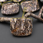 Natural Turritella Agate Rectangle Saddle Locket Shape Pendant Real Fossil from Wyoming USA