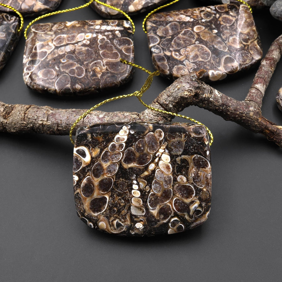 Natural Turritella Agate Rectangle Saddle Locket Shape Pendant Real Fossil from Wyoming USA A1