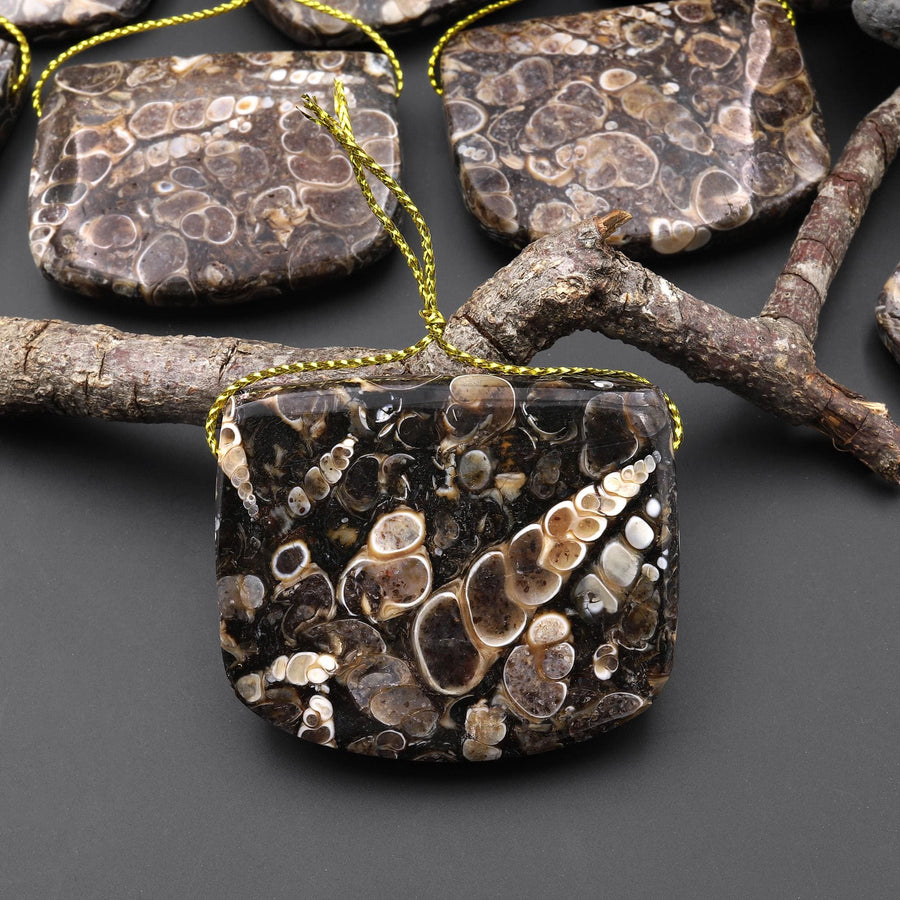 Natural Turritella Agate Rectangle Saddle Locket Shape Pendant Real Fossil from Wyoming USA A2