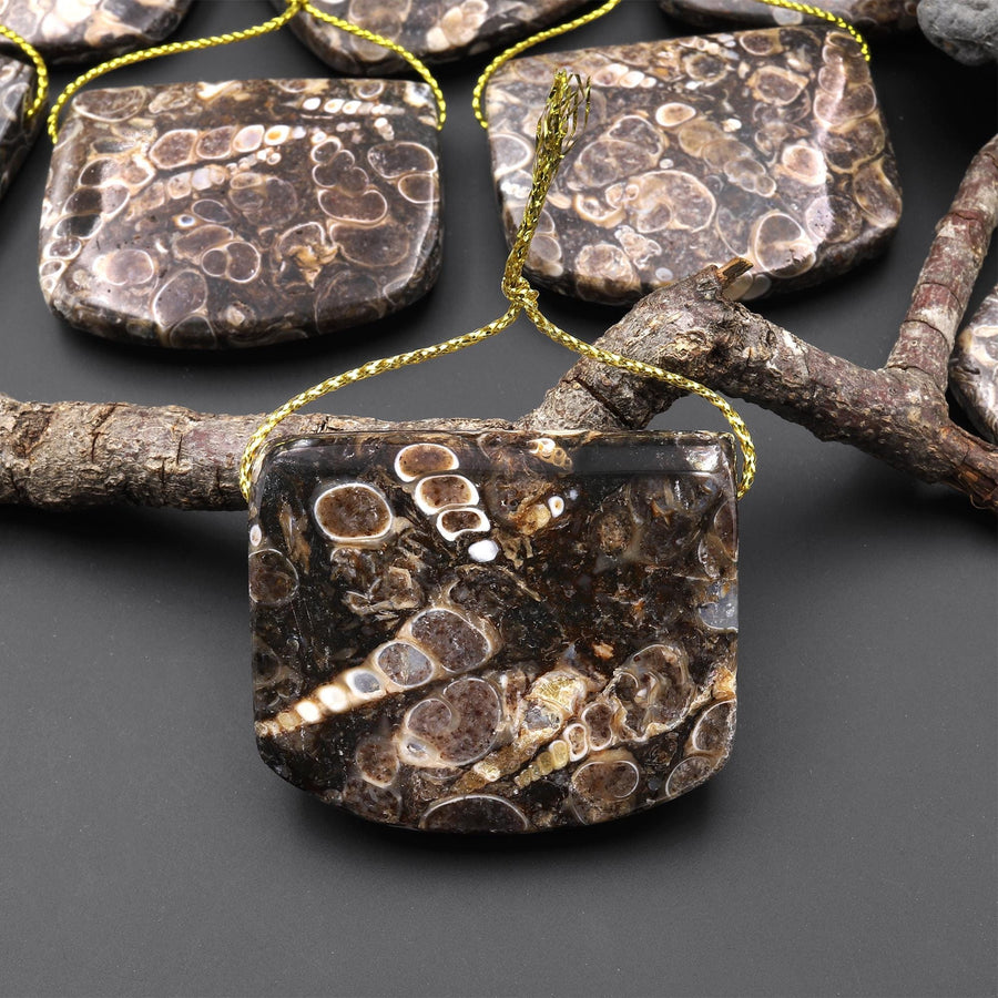 Natural Turritella Agate Rectangle Saddle Locket Shape Pendant Real Fossil from Wyoming USA A4