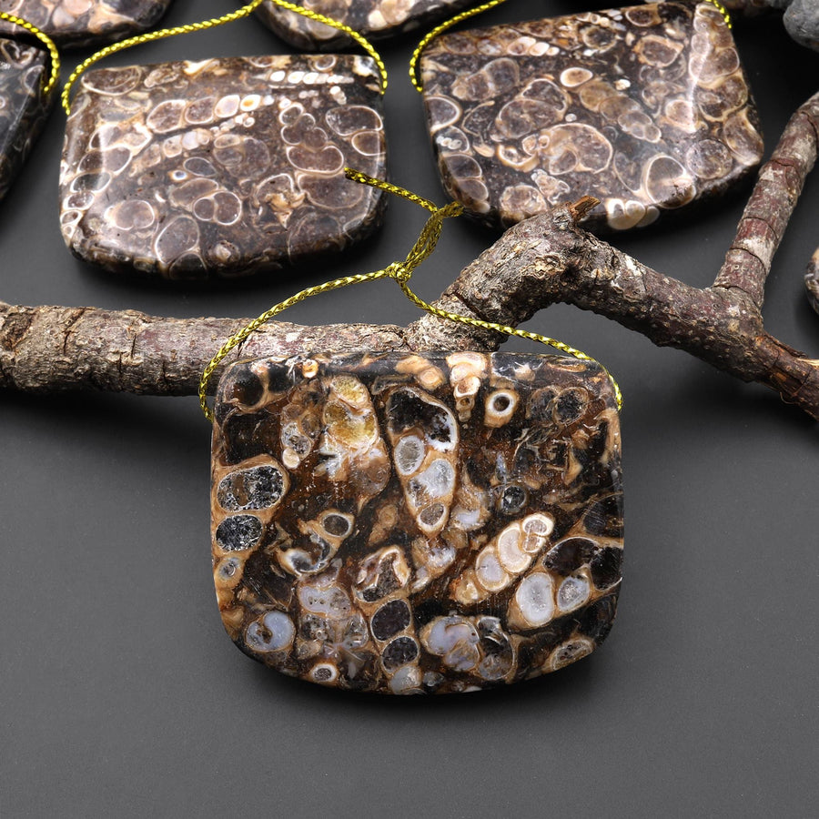 Natural Turritella Agate Rectangle Saddle Locket Shape Pendant Real Fossil from Wyoming USA A6