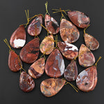Natural Butterfly Jasper from Mexico Side Drilled Teardrop Pendant