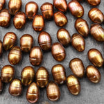Large Genuine Golden Bronze Freshwater Potato Oval Teardrop Pearl Top Side Drilled 15.5" Strand