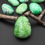 Natural Nevada Apple Green Variscite Rounded Trapezoid Oval Pendant Gemstone