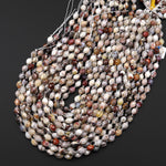 Faceted Natural Laguna Lace Agate Drum Barrel 6x8mm Beads 15.5" Strand