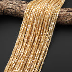 Natural Golden Brown Mother of Pearl Shell Short Cylinder Rounded Tube Beads 3mm 15.5" Strand