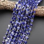 Faceted Natural Blue Sodalite Butterfly Beads 10mm Carved Gemstone 15.5" Strand