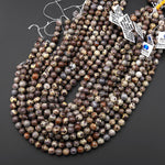 AAA Natural Asteroid Jasper Round Beads 6mm 8mm 10mm Aka Astroite Chocolate Ocean Jasper 15.5" Strand