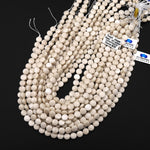 AAA Faceted Natural Fossil Jasper Aka River Stone 6mm 8mm Coin Beads Natural Creamy Beige White Stone 15.5" Strand