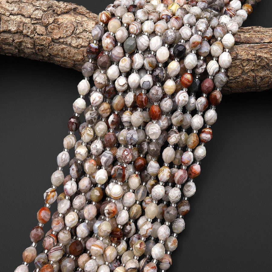 Faceted Natural Laguna Lace Agate Drum Barrel 6x8mm Beads 15.5" Strand