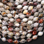 Faceted Natural Laguna Lace Agate Drum Barrel 6x8mm Beads 15.5" Strand