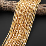 Natural Golden Brown Mother of Pearl Shell Small Cylinder Rounded Drum Tube Beads 3mm 15.5" Strand