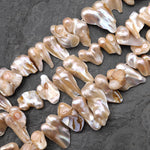 Large Genuine Freshwater Blister Pearl Freeform Top Side Drilled Shimmery Iridescent Peach Pearl 15.5" Strand
