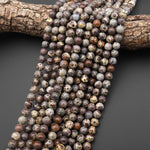 AAA Natural Asteroid Jasper Round Beads 6mm 8mm 10mm Aka Astroite Chocolate Ocean Jasper 15.5" Strand