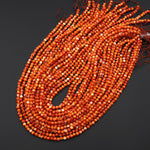 AAA Natural Fiery Orange Spiny Oyster Round Beads 4mm 16" Strand