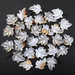 Hand Carved Natural Creamy White Carnelian Maple Leaf Earring Pair Drilled Gemstone Matched Beads