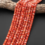 AAA Genuine Natural Red Spiny Oyster 4mm 6mm 8mm Heishi Rondelle Beads 15.5" Strand A1643