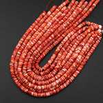AAA Genuine Natural Red Spiny Oyster 4mm 6mm 8mm Heishi Rondelle Beads 15.5" Strand A1643