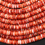 AAA Genuine Natural Red Spiny Oyster 4mm 6mm 8mm Heishi Rondelle Beads 15.5" Strand A1643