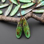 Rare Natural Mexican Apple Green Parrot Wing Chrysocolla Teardrop Earring Pair