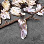 Natural Freshwater Baroque Blister Pearl Pendant Wild Shapes PDT0790