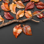 Hand Carved Natural Fiery Orange Red Carnelian Leaf Earring Pair Drilled Gemstone Matched Beads