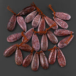 Genuine Maroon Red Gray Utah Dinosaur Bone Fossil Drilled Teardrop Earring Pair Matched Gemstone Beads EC0404