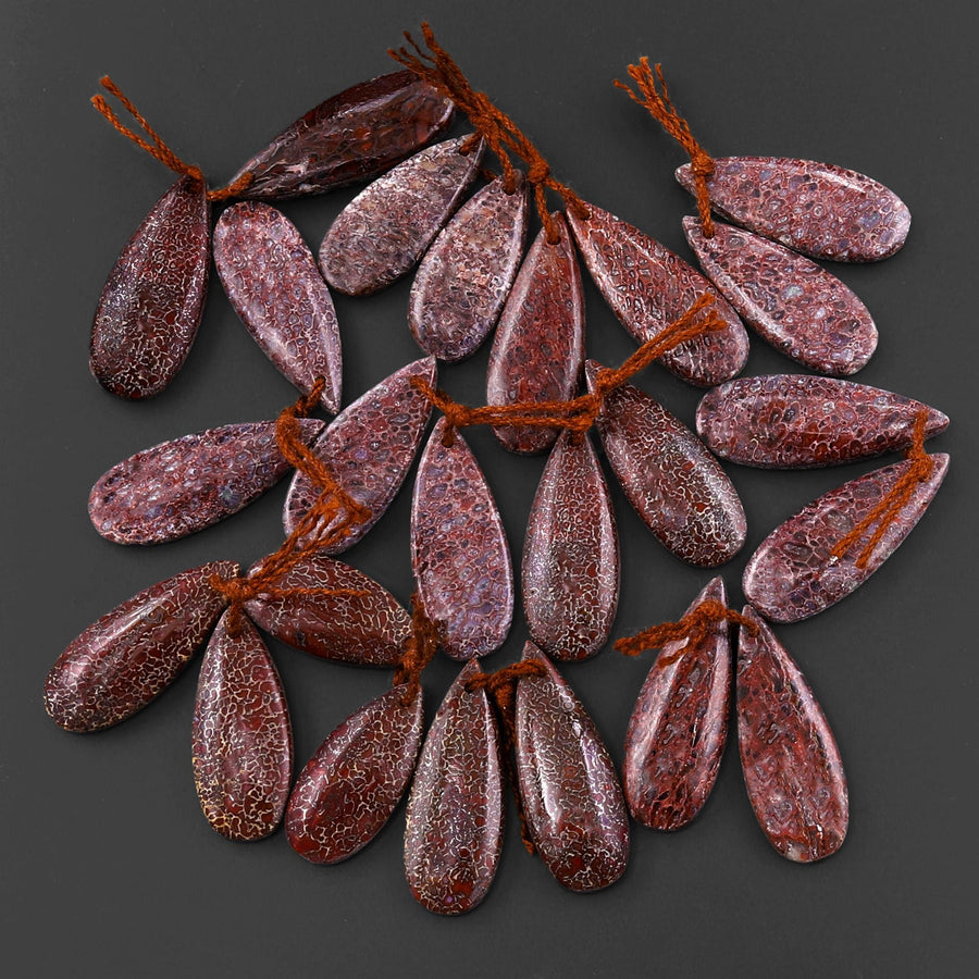 Genuine Maroon Red Gray Utah Dinosaur Bone Fossil Drilled Teardrop Earring Pair Matched Gemstone Beads EC0404