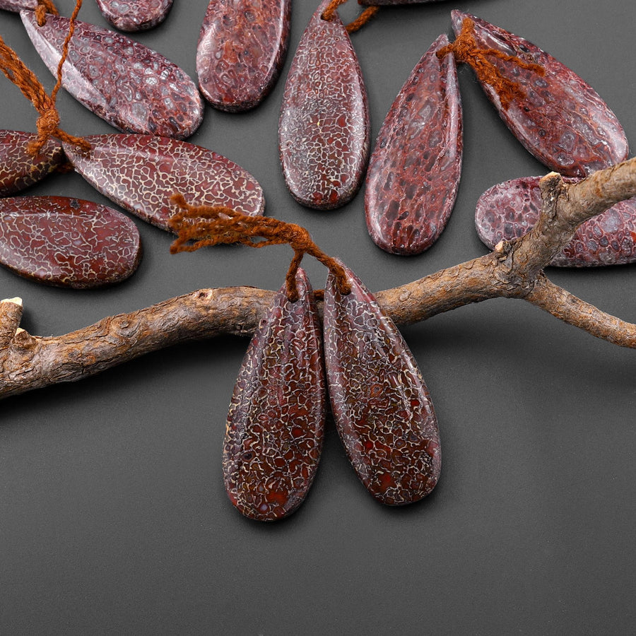 Genuine Maroon Red Gray Utah Dinosaur Bone Fossil Drilled Teardrop Earring Pair Matched Gemstone Beads EC0404