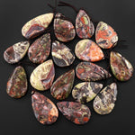 Natural Mushroom Rhyolite Jasper Teardrop Side Drilled Pendant