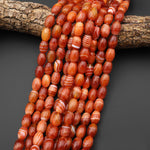 AAA Natural Fiery Orange Red Banded Agate Drum Barrel Beads 10x13mm 15.5" Strand