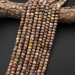 AAA Faceted Natural Leopard Skin Jasper 8mm Rondelle Beads Gemstone 15.5" Strand