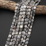 Faceted Natural Gray Map Jasper 10mm Gemstone Square Beads 15.5" Strand